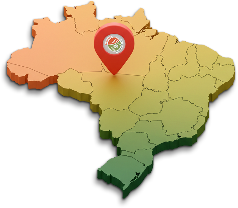 Mapa do Brasil destacando as unidades Emporium Seu Granel em Minas Gerais e Bahia