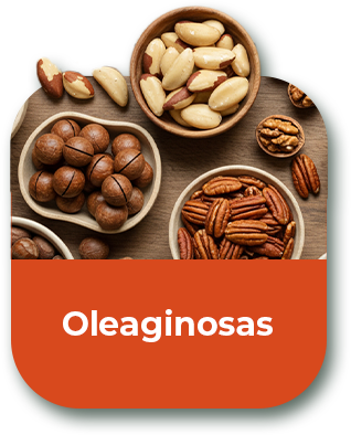 Categoria Oleaginosas
